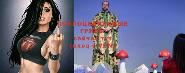 спайс Арсеньев