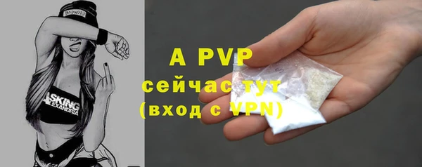 спайс Арсеньев