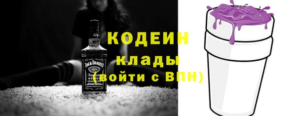 дживик Струнино