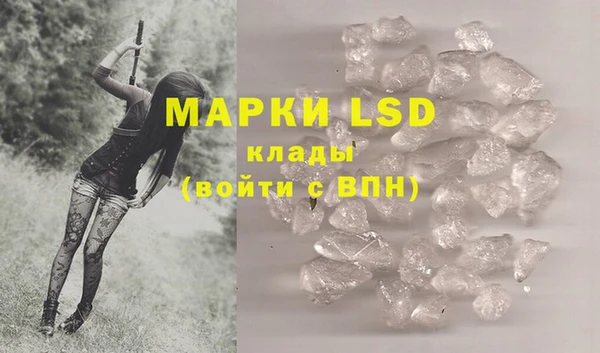 apvp Аркадак